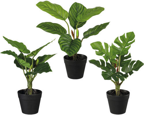 Kunstpflanze Grünpflanzenmix Höhe: 26 cm grün