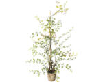 Hornbach Kunstpflanze Lonicera Japonica Höhe: 100 cm grün