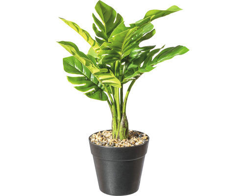 Kunstpflanze Splitphilodendron Höhe: 30 cm grün