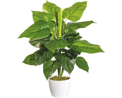 Kunstpflanze Philodendrohn Höhe: 50 cm grün