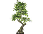 Hornbach Kunstpflanze Ficus Benjamin Ø 80 cm Höhe: 170 cm grün