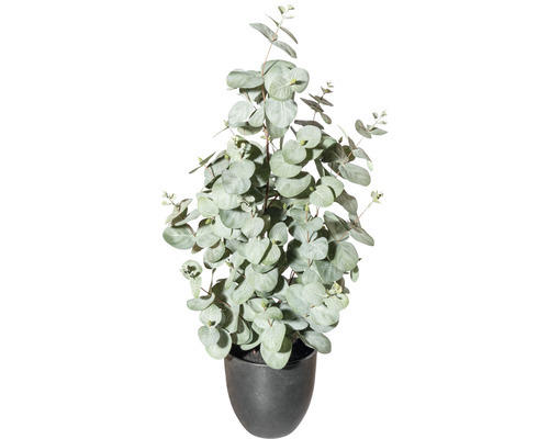 Kunstpflanze Eucalyptus Höhe: 60 cm grün