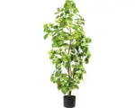 Hornbach Kunstpflanze Eucalyptus Höhe: 105 cm grün