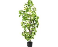 Kunstpflanze Eucalyptus Höhe: 105 cm grün