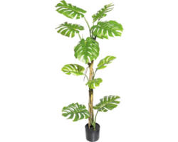 Kunstpflanze Splitphilodendron Höhe: 175 cm grün
