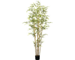 Kunstpflanze Bambus Höhe: 180 cm grün