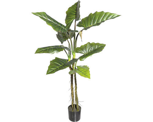 Kunstpflanze Colocasia Höhe: 140 cm grün
