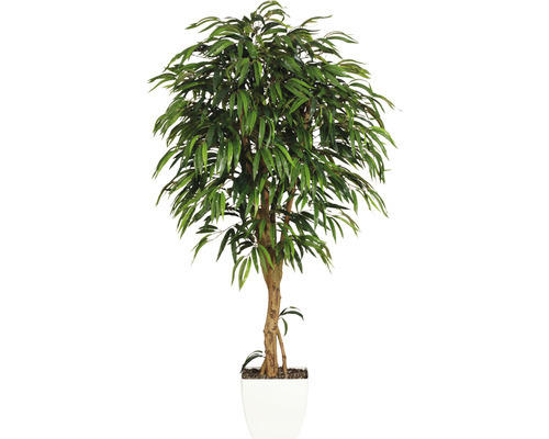 Kunstpflanze Weeping Ficus Höhe: 180 cm grün