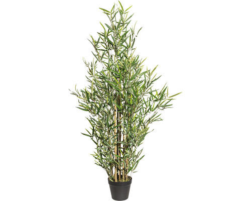 Kunstpflanze Minibambus Höhe: 120 cm grün