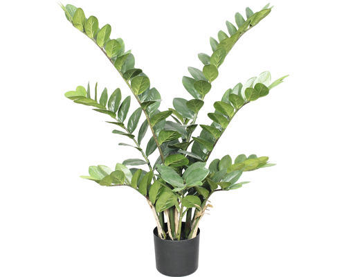 Kunstpflanze Zamifolia Höhe: 90 cm grün