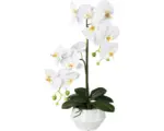 Hornbach Kunstpflanze Phalaenopsis Höhe: 52 cm weiß