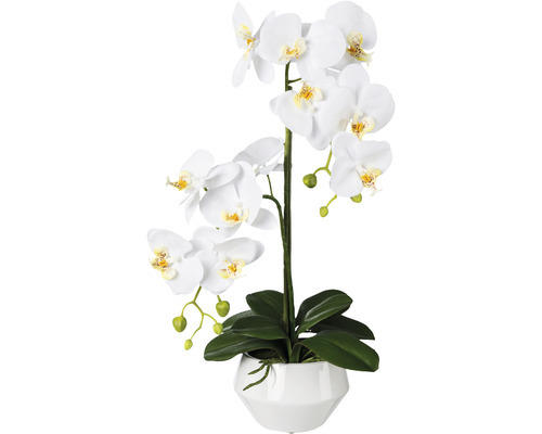 Kunstpflanze Phalaenopsis Höhe: 52 cm weiß