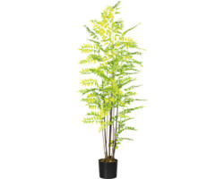 Kunstpflanze Goldschuppenfarn Höhe: 150 cm grün