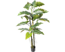 Kunstpflanze Colocasia Höhe: 180 cm grün
