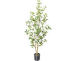 Hornbach Kunstpflanze Ficus Ginseng Höhe: 130 cm grün