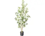 Hornbach Kunstpflanze Ficus Ginseng Höhe: 130 cm grün