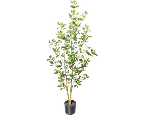 Kunstpflanze Ficus Ginseng Höhe: 130 cm grün