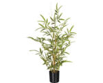 Hornbach Kunstpflanze Bambus Höhe: 70 cm grün