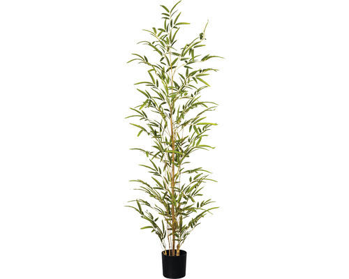 Kunstpflanze Bambus Miniblatt Höhe: 120 cm grün