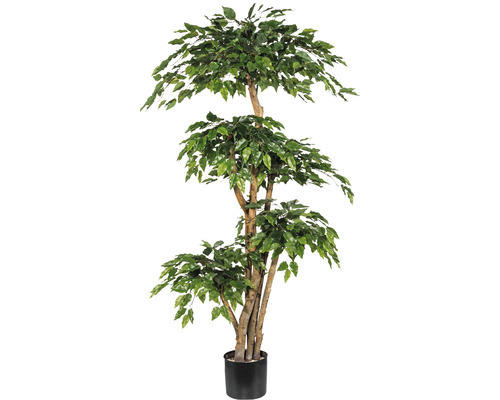 Kunstpflanze Ficus Benjamin Höhe: 170 cm grün