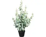 Hornbach Kunstpflanze Eucalyptus Silverdoller Höhe: 90 cm grün
