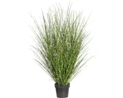 Kunstpflanze Miscanthus Höhe: 140 cm grün