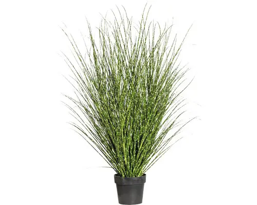 Kunstpflanze Miscanthus Höhe: 140 cm grün
