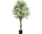 Hornbach Kunstpflanze Ficus Benjamin Höhe: 150 cm grün-weiß