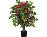 Hornbach Kunstpflanze Bougainvillea Höhe: 100 cm grün