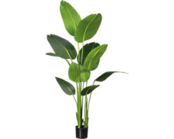 Kunstpflanze Strelitzia Nicolai Höhe: 160 cm grün
