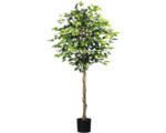 Hornbach Kunstpflanze Ficus Benjamin Höhe: 180 cm grün