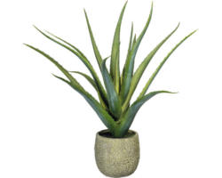 Kunstpflanze Aloe im Topf Höhe: 48 cm grün