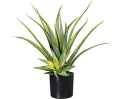 Kunstpflanze Aloe im Topf schwarz Höhe: 48 cm grün