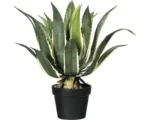 Hornbach Kunstpflanze Agave Americana Höhe: 55 cm grün