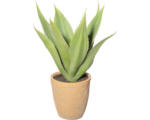 Hornbach Kunstpflanze Agave Höhe: 38 cm grün