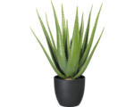 Hornbach Kunstpflanze Aloe Höhe: 66 cm grün