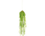 Hornbach Kunstpflanze Miniblatt-Hänger Höhe: 70 cm grün