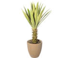 Hornbach Kunstpflanze Yucca Höhe: 75 cm grün