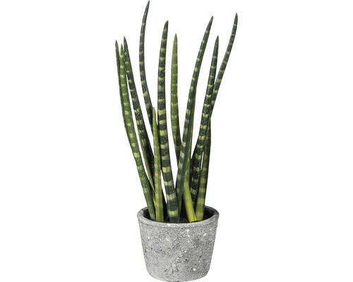 Kunststoff 45 cm grün