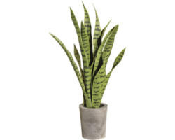Kunstpflanze Sanserveria Höhe: 60 cm grün