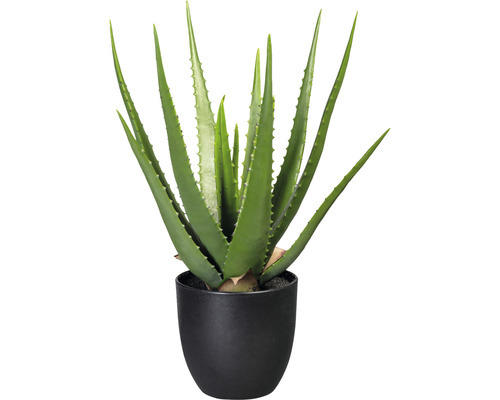 Kunstpflanze Aloe Höhe: 47 cm grün