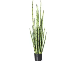 Kunstpflanze Sanserveria Höhe: 140 cm grün