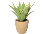 Hornbach Kunstpflanze Agave Höhe: 40 cm grün