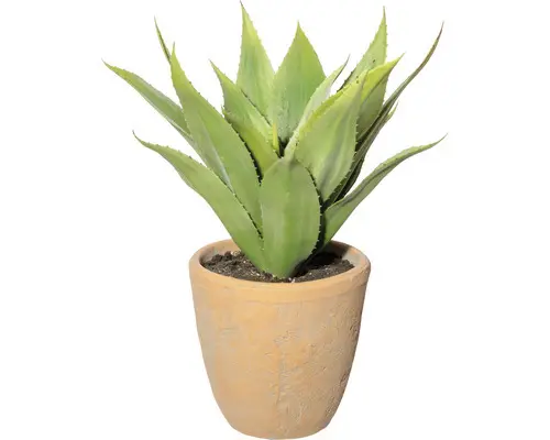 Kunstpflanze Agave Höhe: 40 cm grün