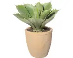 Hornbach Kunstpflanze Echeveria Höhe: 25 cm grün