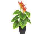 Hornbach Kunstpflanze Guzmania Höhe: 58 cm grün