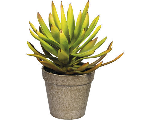 Kunstpflanze Aloe Plicatilis Höhe: 24 cm grün