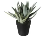 Hornbach Kunstpflanze Aloe im Topf Höhe: 23 cm grün