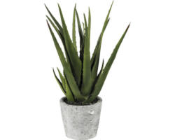 Kunstpflanze Aloe Höhe: 40 cm grün