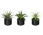 Hornbach Kunstpflanze Aloe, Agave, Tillandsie Mix Höhe: 15 cm grün